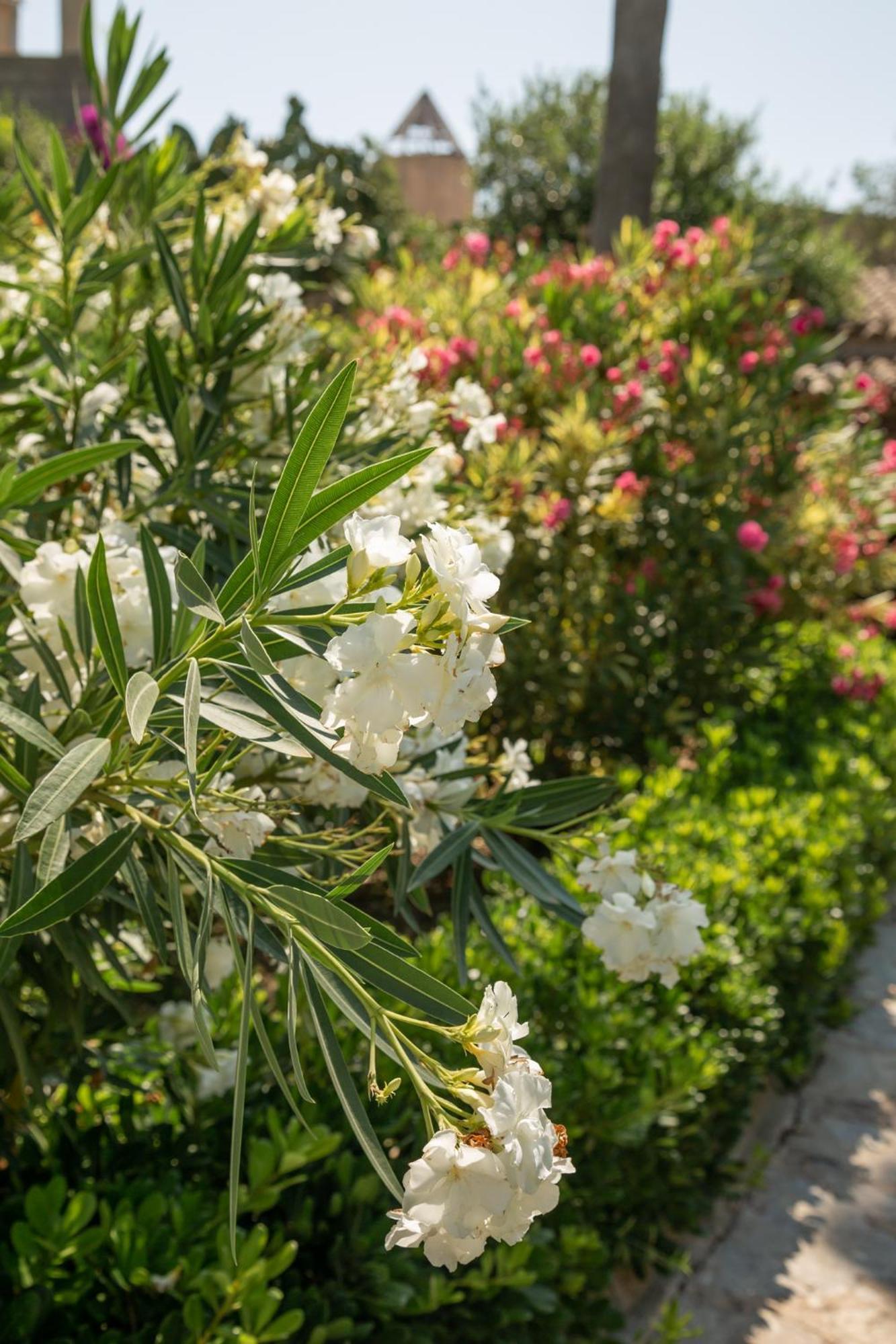 Can Moio Turismo De Interior (Adults Only) Montuiri  Εξωτερικό φωτογραφία