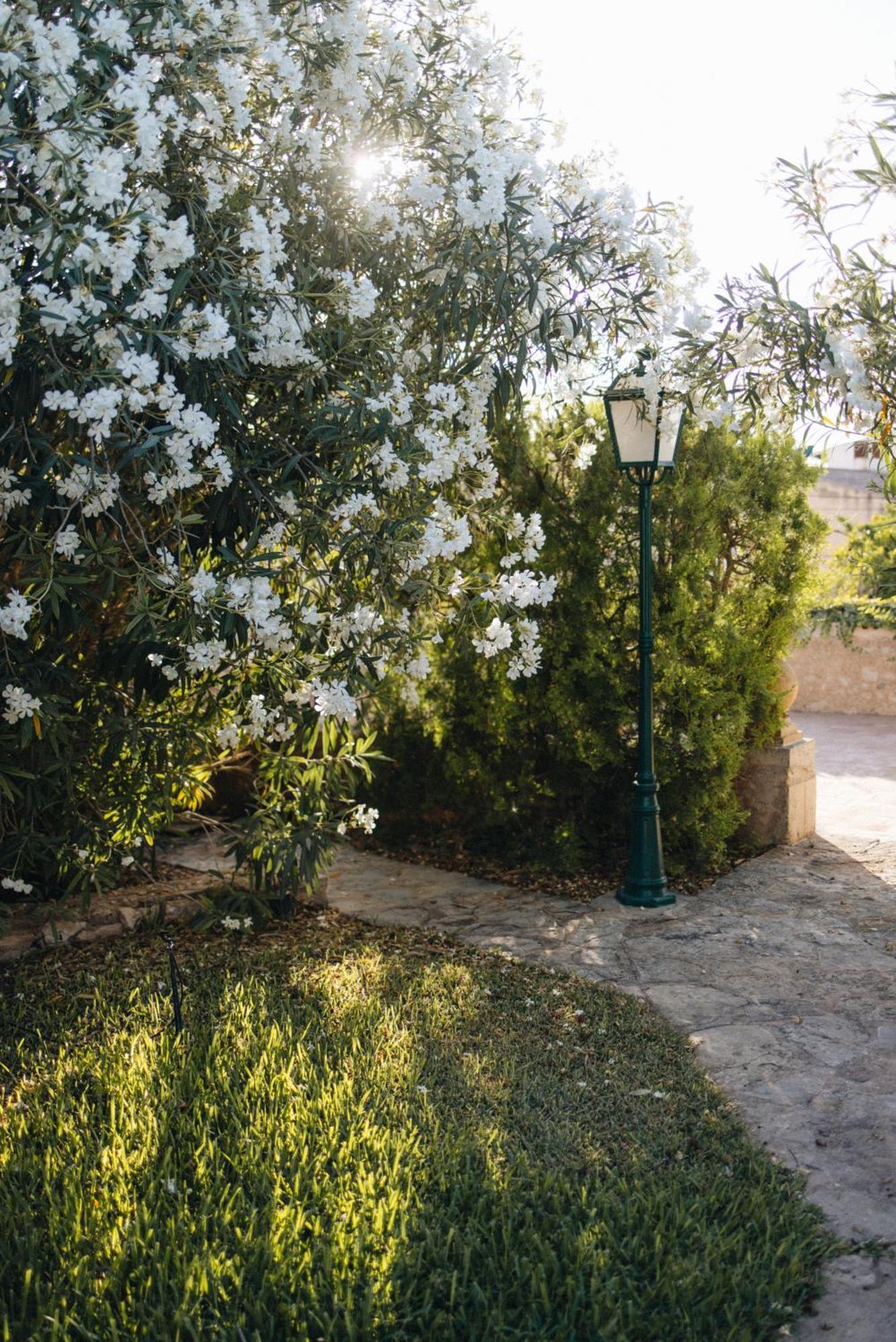 Can Moio Turismo De Interior (Adults Only) Montuiri  Εξωτερικό φωτογραφία